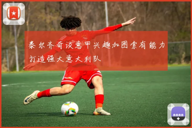 泰尔齐奇谈意甲兴趣加图索有能力打造强大意大利队