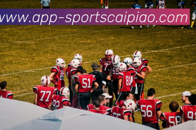 大发彩票服务体系